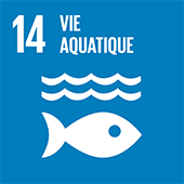 14 – Vie aquatique